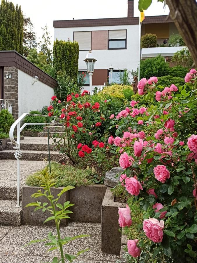 Apartments Gala, Ruhige Lage, Stadtnah 巴特基辛根 外观 照片